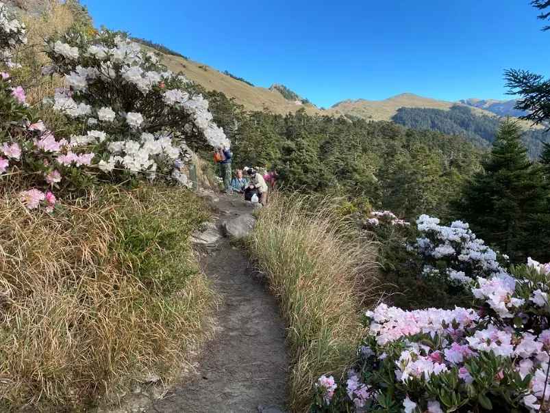 合歡山登山