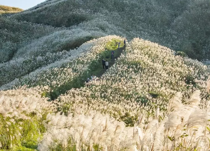 瑞芳登山路線