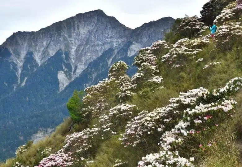合歡山登山
