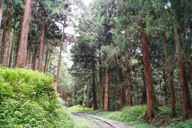 步道整修