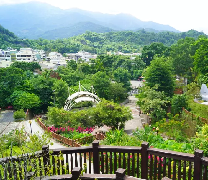 台灣 森林 圖書館