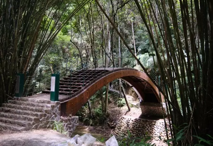 澀水森林步道 怎麼去