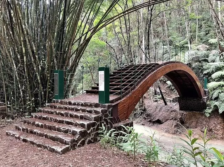 澀水森林步道 怎麼去