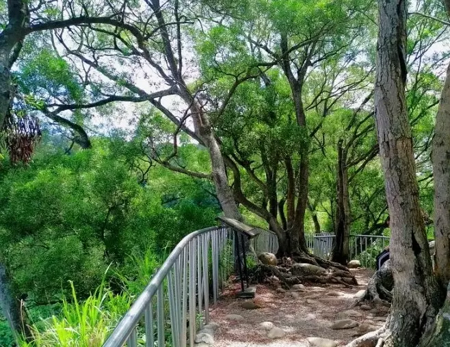 彰化親子步道
