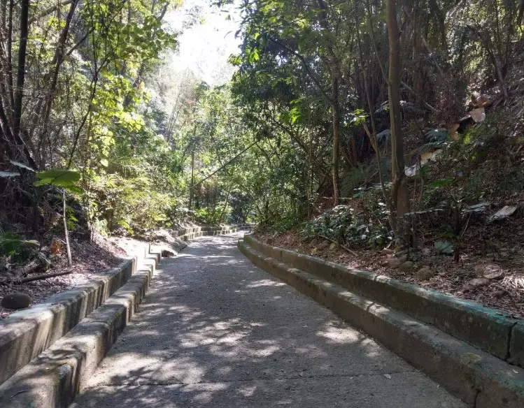 八卦山步道推薦