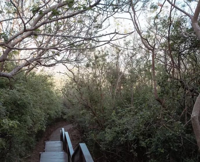 墾丁私房步道