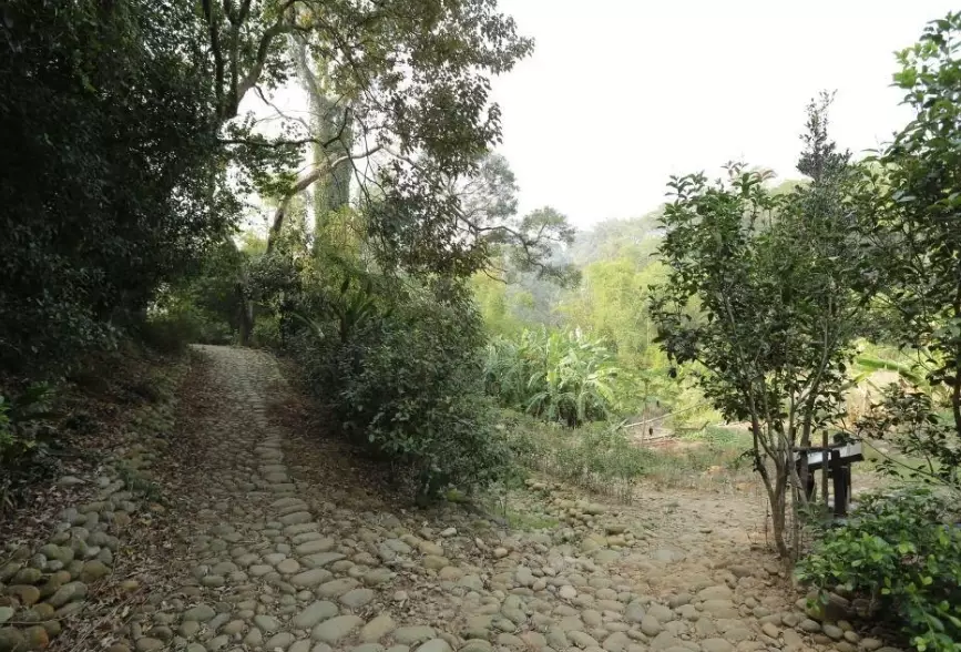 台灣紅土步道
