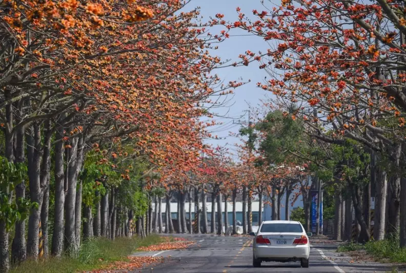 雲林步道