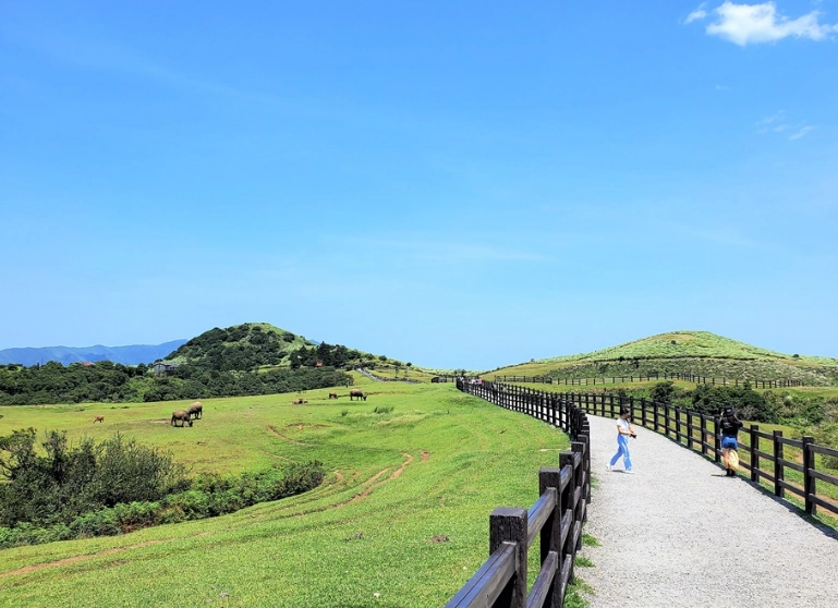 河濱公園野餐