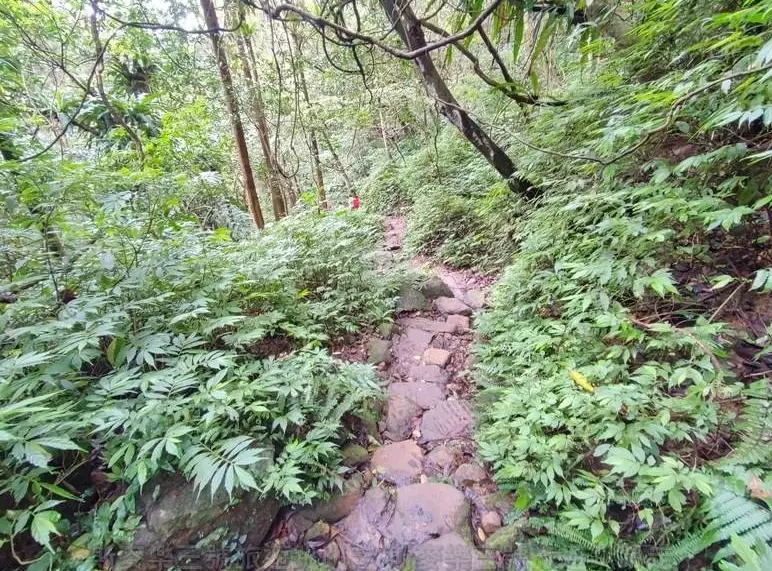 翡翠水庫登山步道