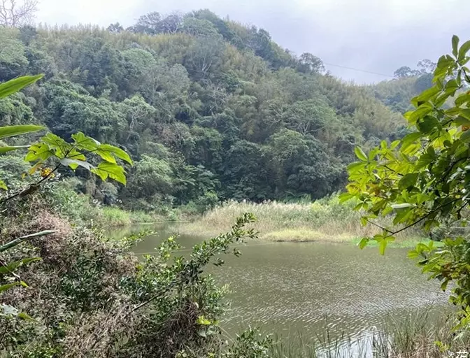 雲林步道