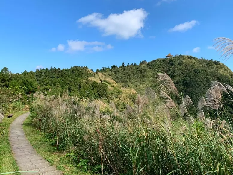 五分山秋景