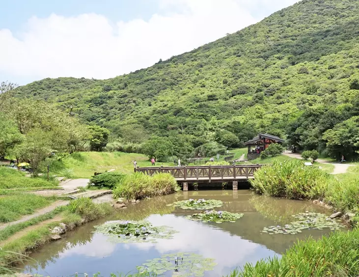 陽明山二子坪