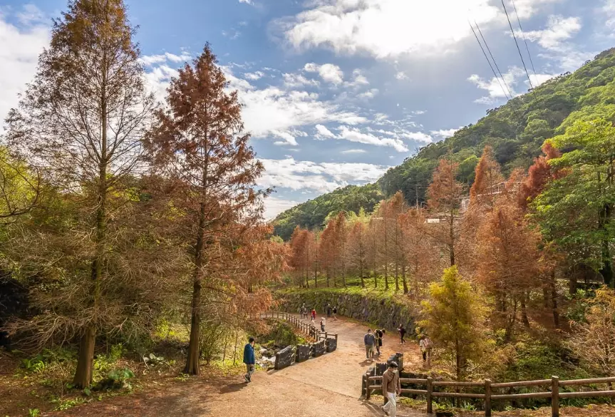 陽明山步道
