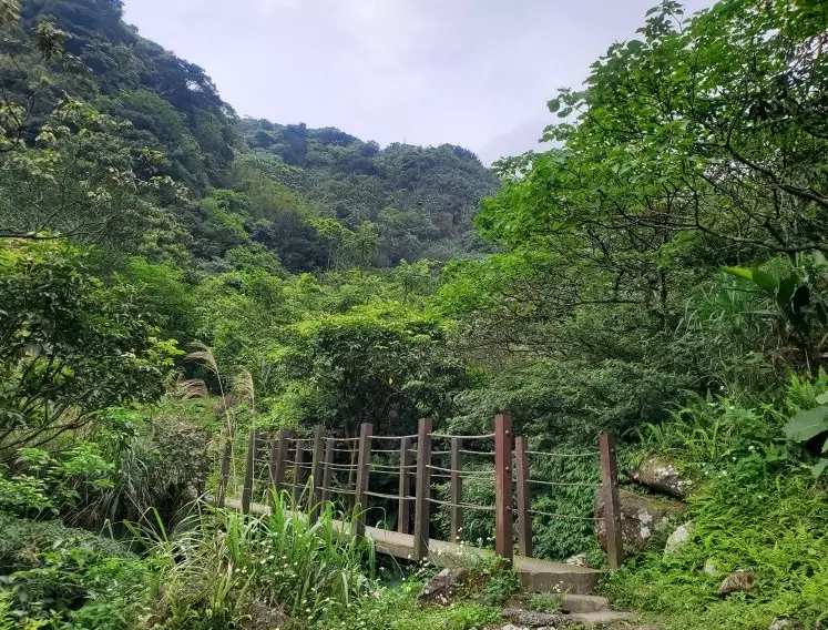 小粗坑古道停車