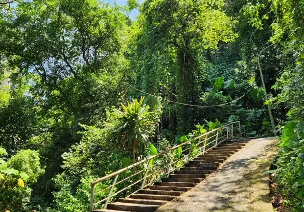 觀音山硬漢嶺