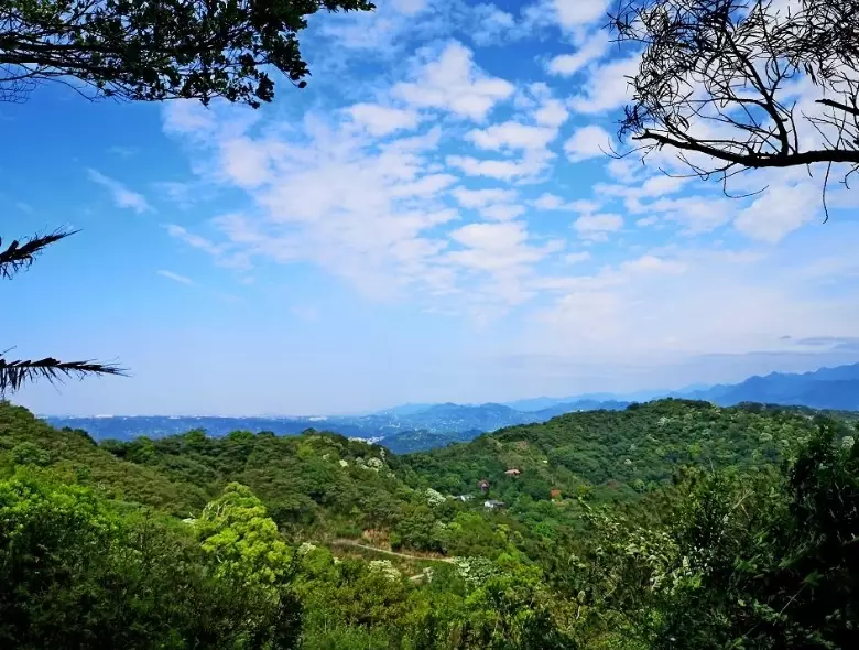 飛鳳山怎麼去