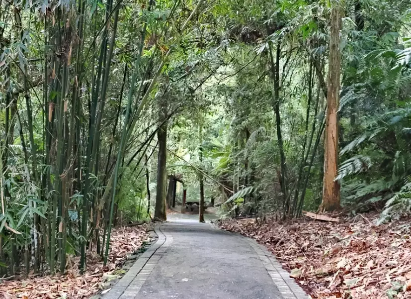 台灣步道推薦