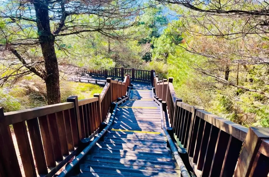 觀霧國家森林遊樂區路況