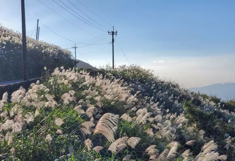 五分山秋景