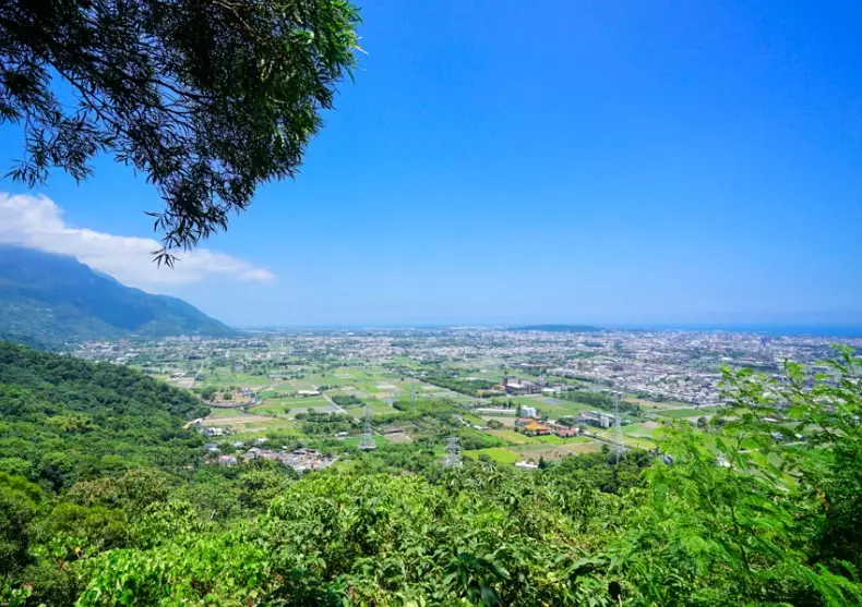 楓林步道
