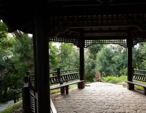 貴子坑親山步道