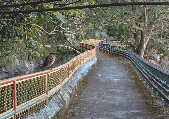 生態步道餐廳