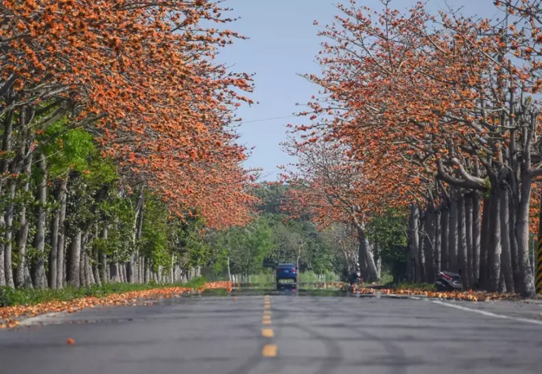 台灣步道推薦