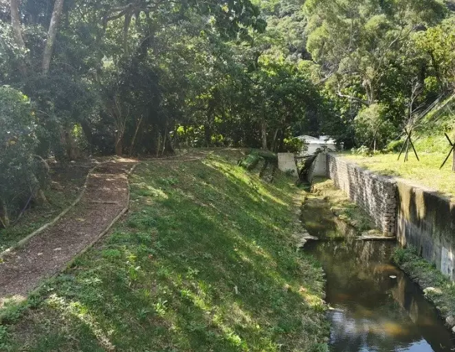 貴子坑親山步道