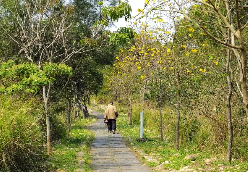 竹子坑步道