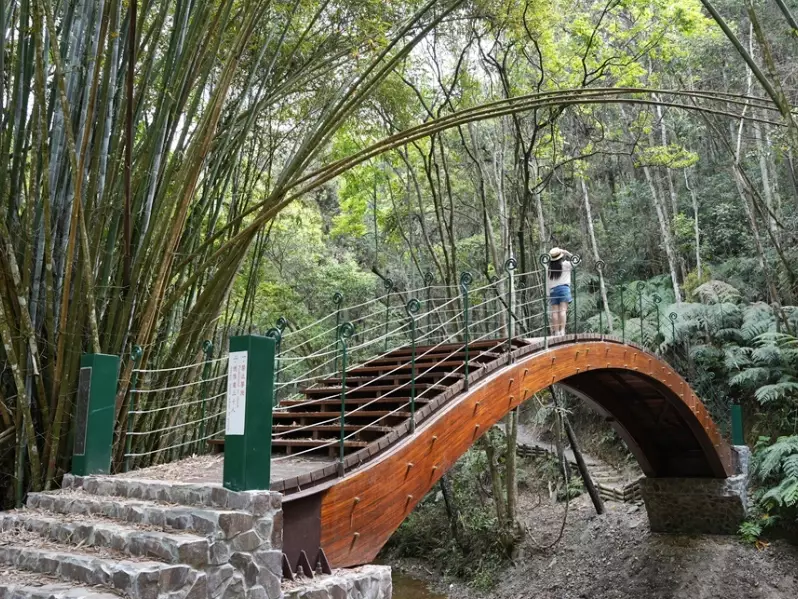 台灣森林步道