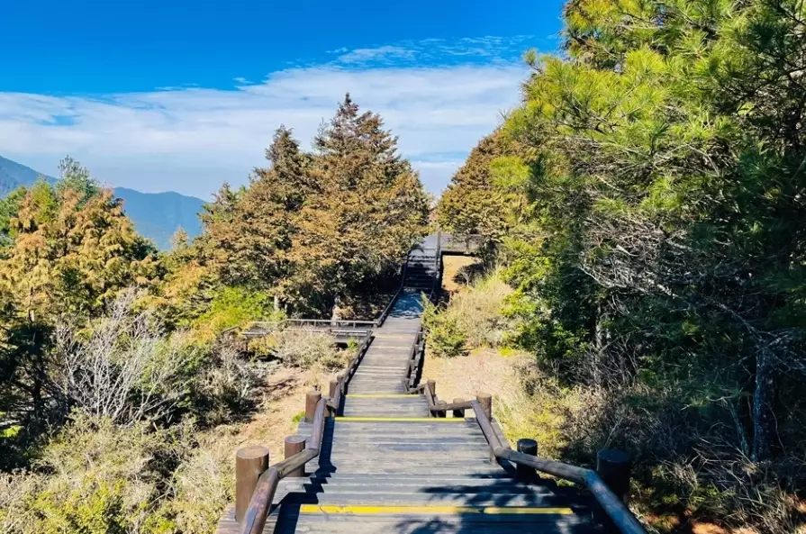 觀霧天氣