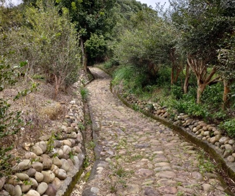 保甲古道交通