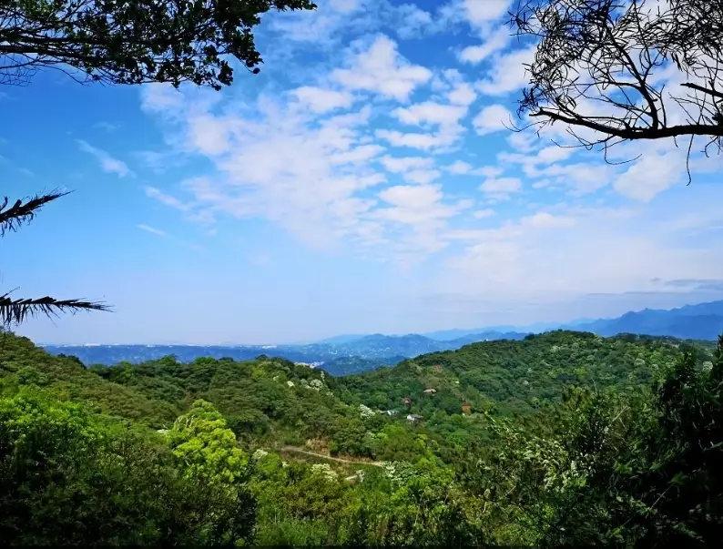 新竹登山美食