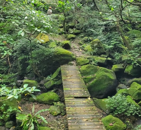 小粗坑古道交通