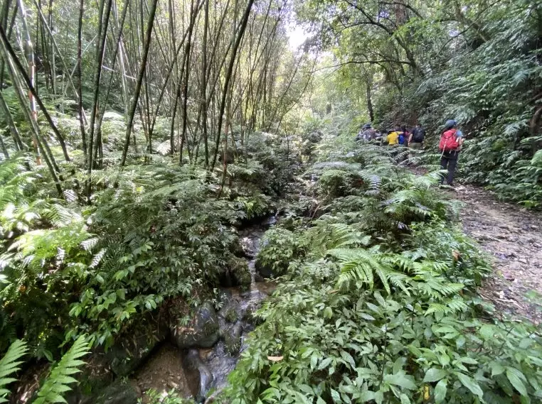 小粗坑古道交通