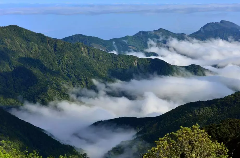 觀霧國家森林遊樂區交通