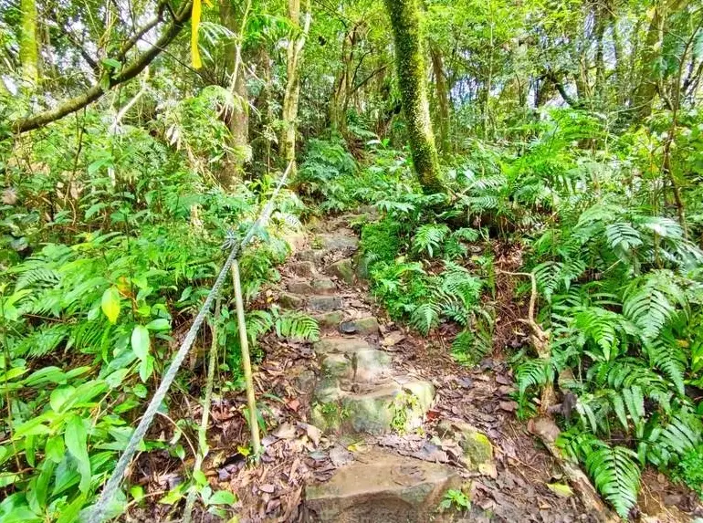 翡翠水庫登山步道