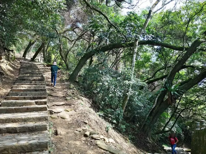 飛鳳山步道