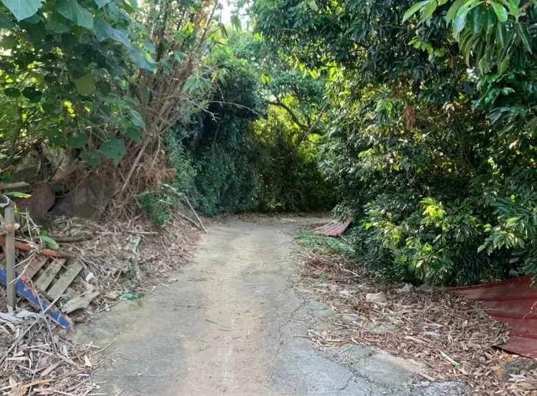 彰化步道