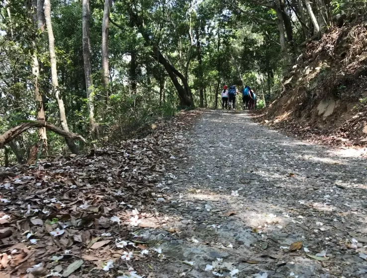 谷關七雄登山廁所