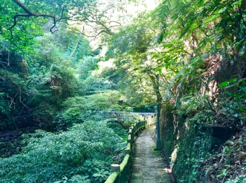 貴子坑親山步道交通