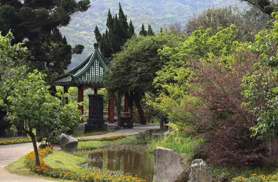 陽明山步道