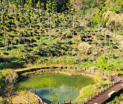 澀水森林步道