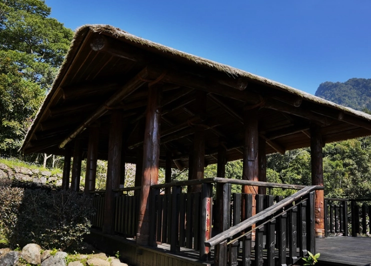 阿里山步道推薦