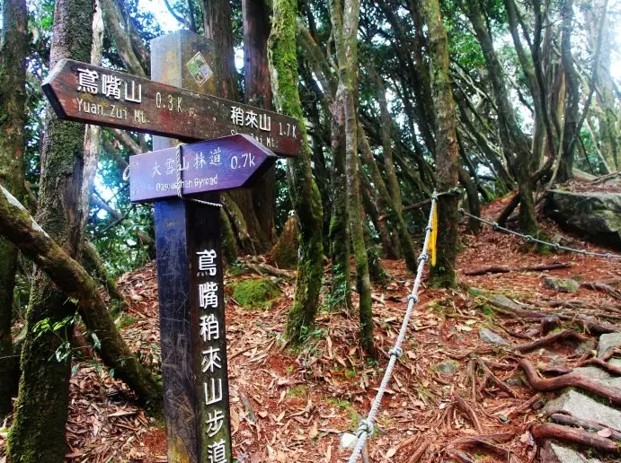 橫嶺山步道