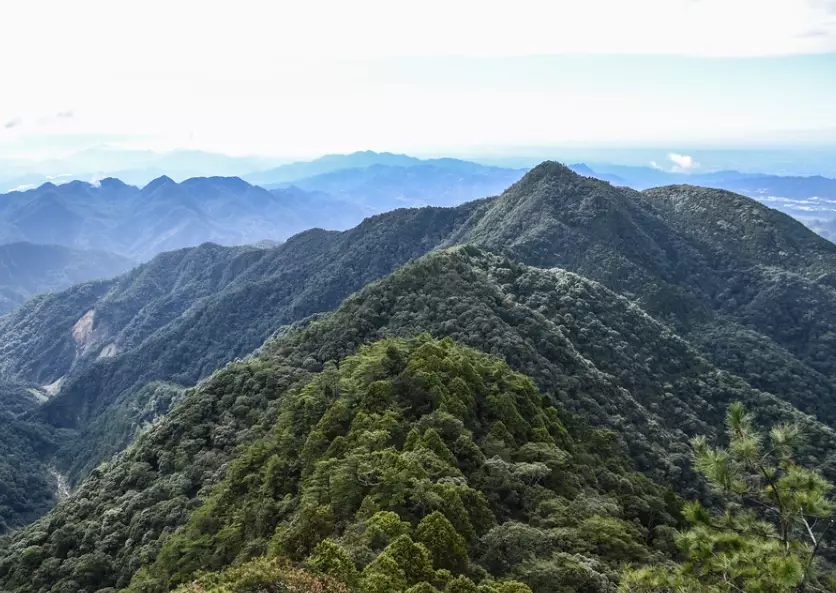 橫嶺山鳶嘴山縱走