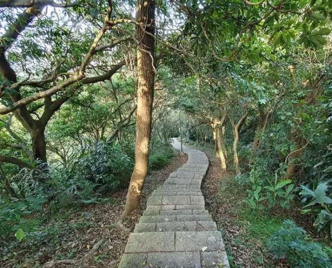 虎山步道停車場