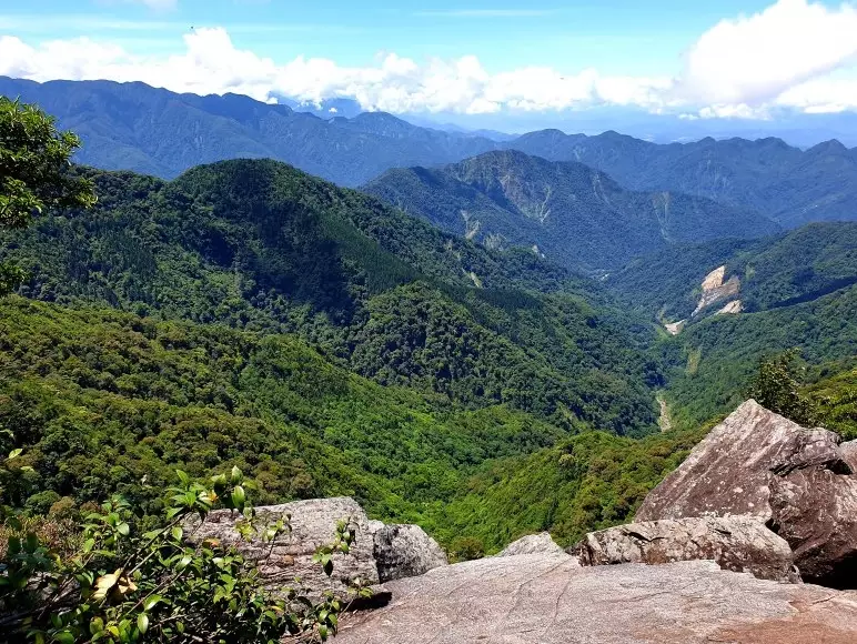 鳶嘴山登山路線