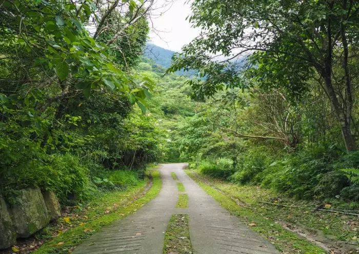 佐倉步道